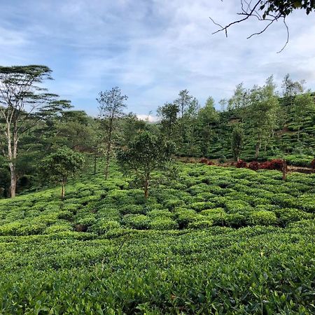 Hotel Parisons Plantation Experiences By Abad Mananthavady Esterno foto
