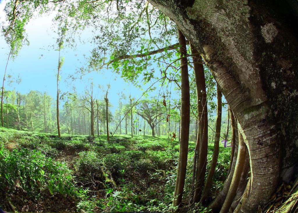 Hotel Parisons Plantation Experiences By Abad Mananthavady Esterno foto