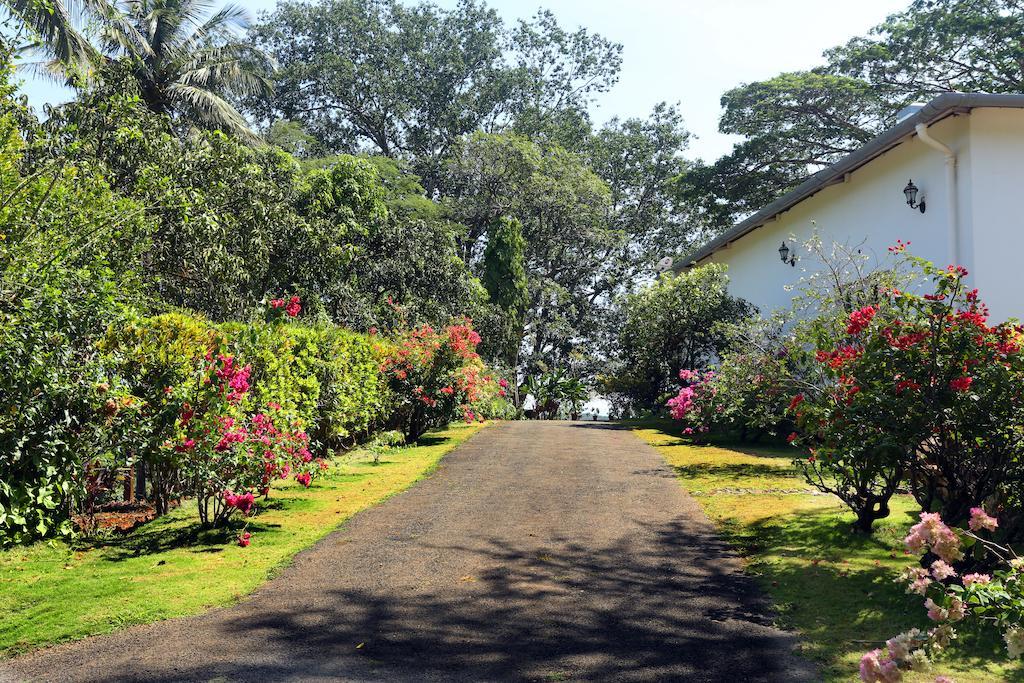 Hotel Parisons Plantation Experiences By Abad Mananthavady Esterno foto