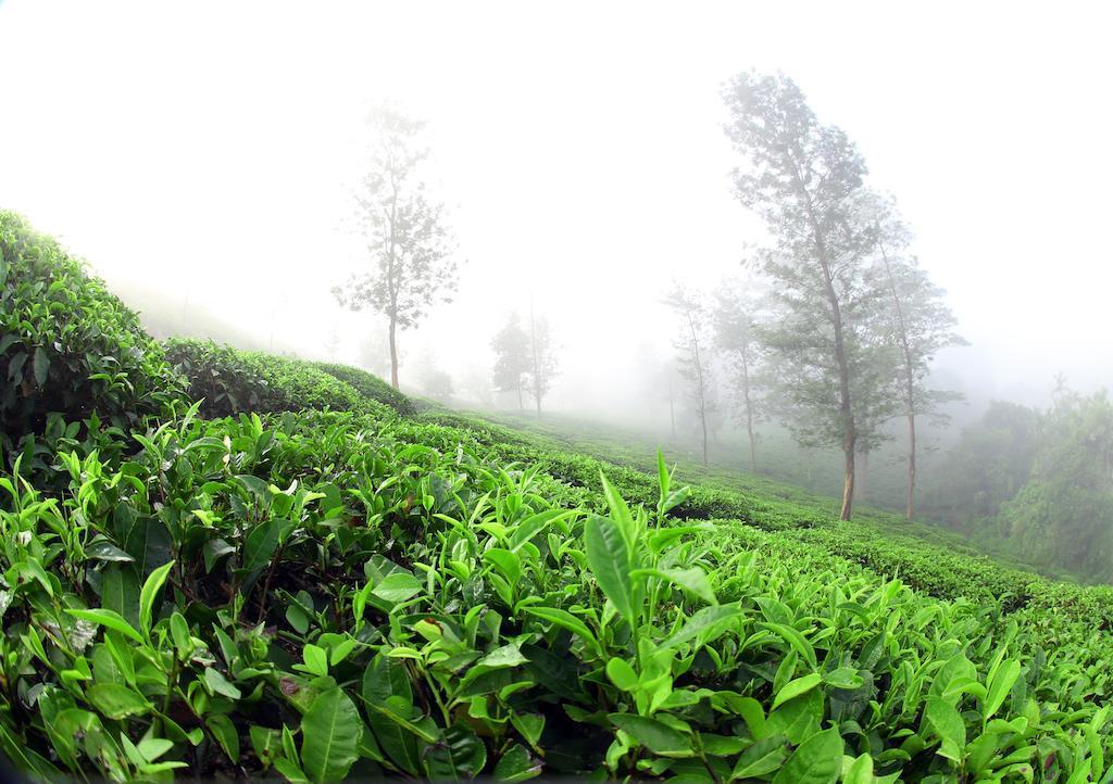 Hotel Parisons Plantation Experiences By Abad Mananthavady Esterno foto