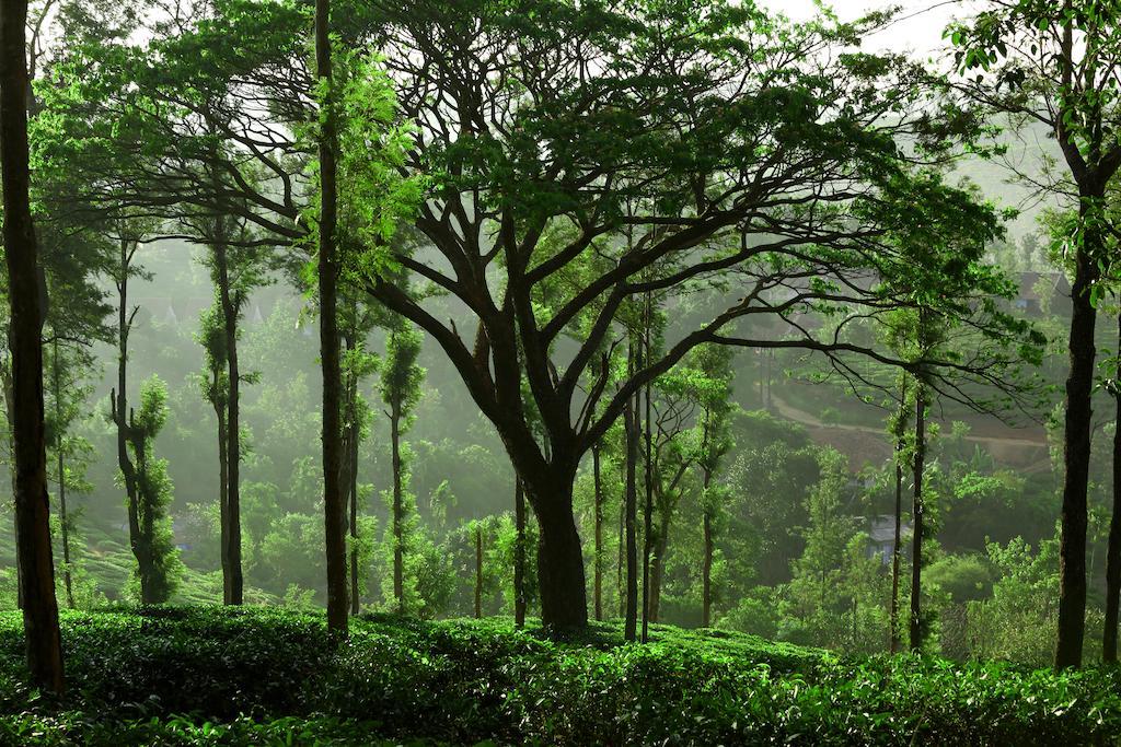 Hotel Parisons Plantation Experiences By Abad Mananthavady Camera foto